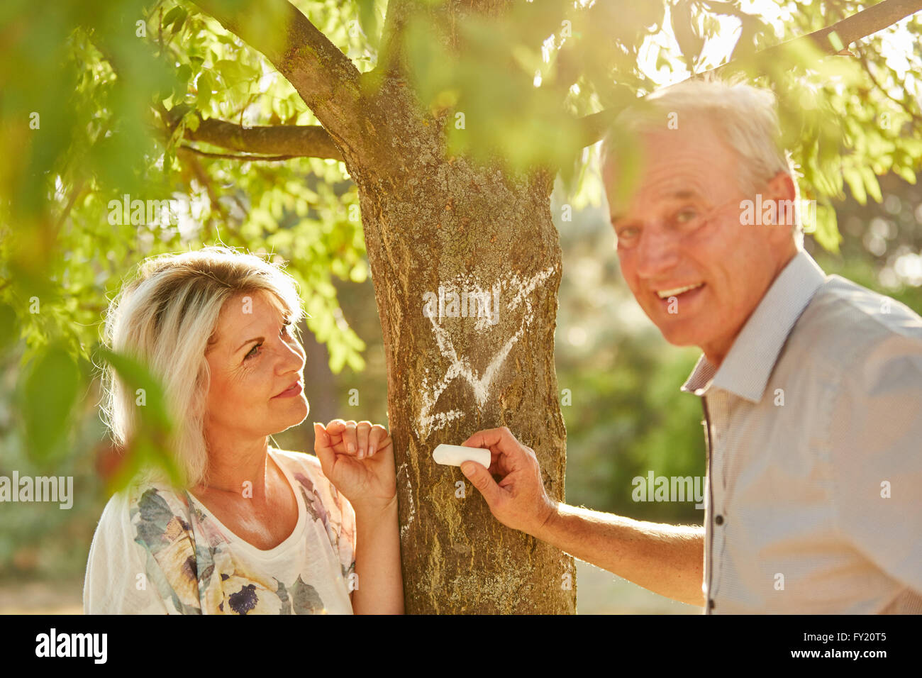 Senioren in Liebe Drwaing ein Herz mit Kreide auf einem Baum im Sommer Stockfoto