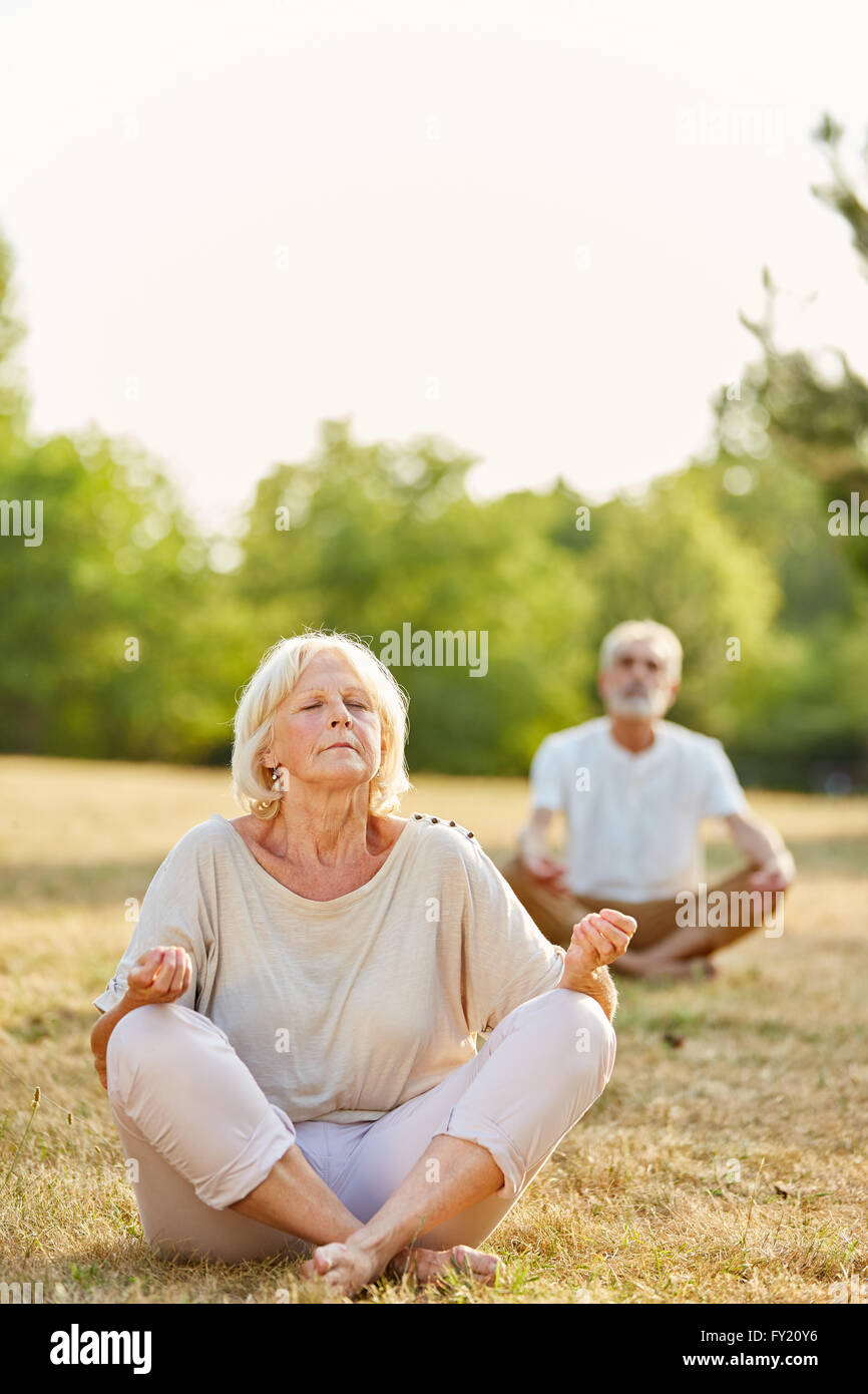 Älteres paar machen eine Yoga Übung im Park im Sommer Stockfoto