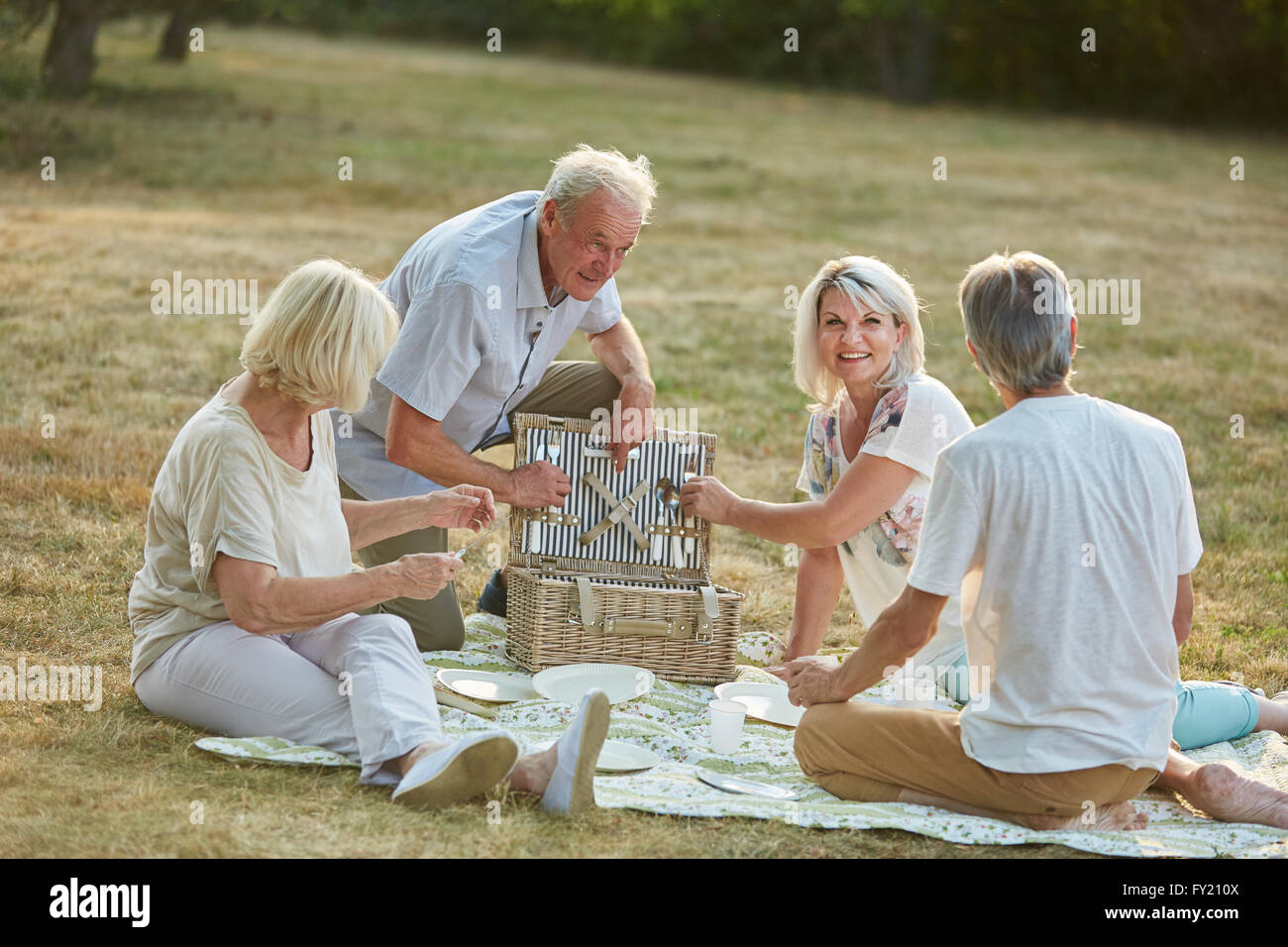 Freunde, die zusammen mit einem Picknick im Park im Sommer in der Natur