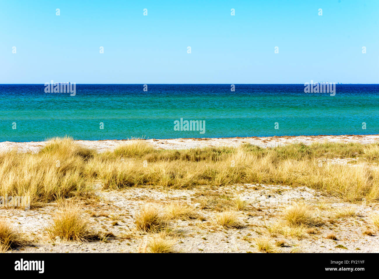 Sandstrand mit Trockenrasen und das offene Meer. Zwei Schiffe sind am Horizont in weiter Ferne sichtbar. Stockfoto