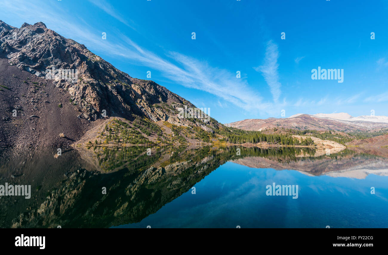 Spiegelung im Wasser, Ellery Lake, Kalifornien, USA Stockfoto