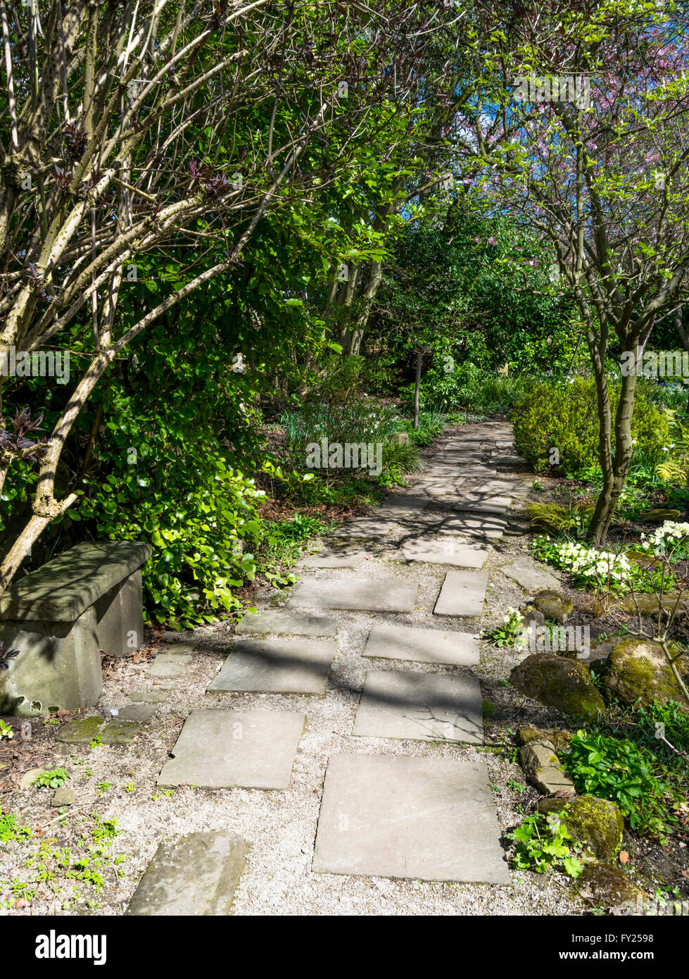 Einen abgelegenen Pfad im Garten Freunde in der Nähe von Tropenwelt, Roundhay Park, Leeds, West Yorkshire, Großbritannien. Stockfoto