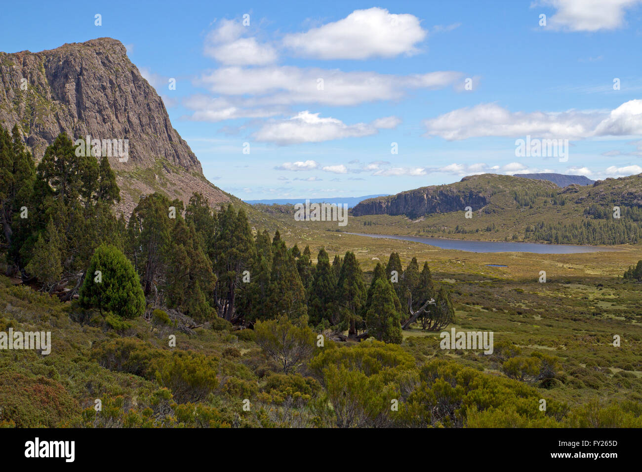 König Davids Peak in den Wänden von Jerusalem Nationalpark Stockfoto