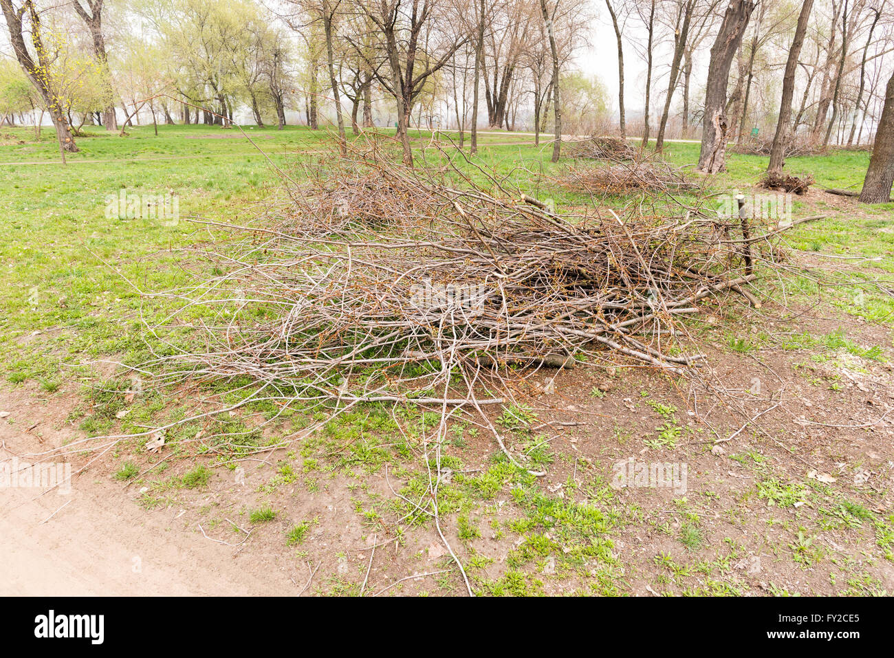 Ein Haufen der abgeschnittenen Äste im park Stockfoto