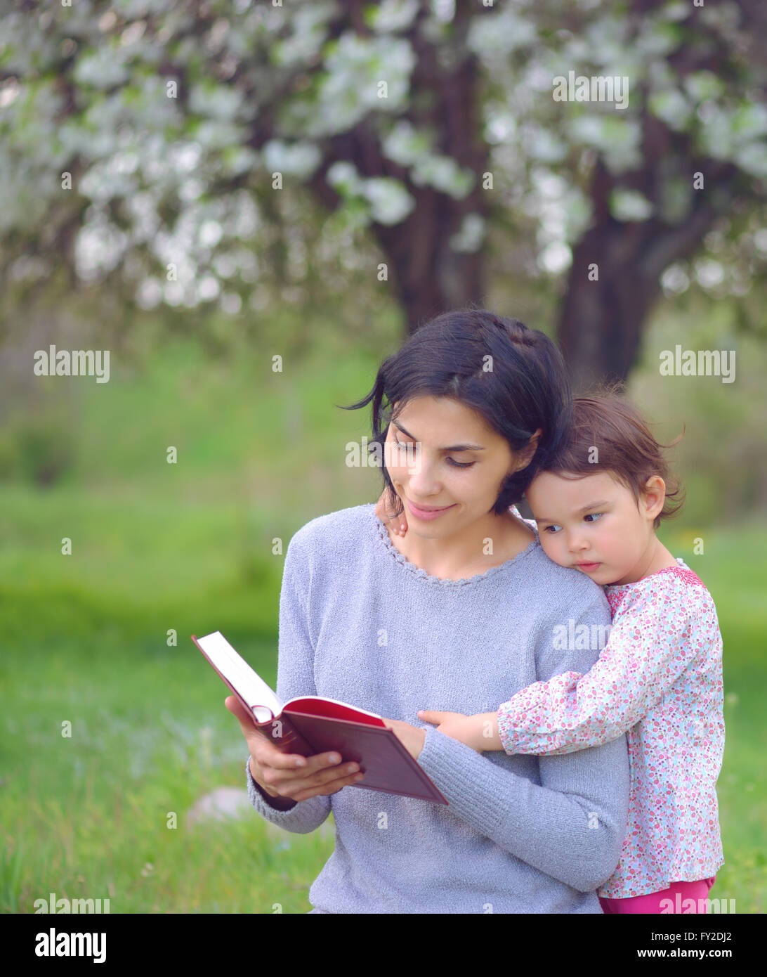 Mutter mit Tochter lesen Sie ein Buch auf der Wiese Stockfoto