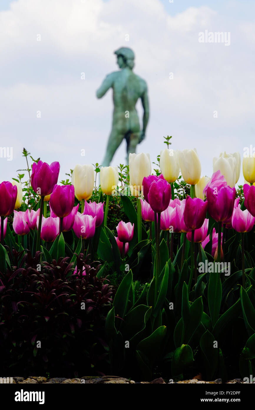 David-Statue von Tulpen im berühmten Piazzale Michelangelo umgeben. Florenz, Italien. Stockfoto