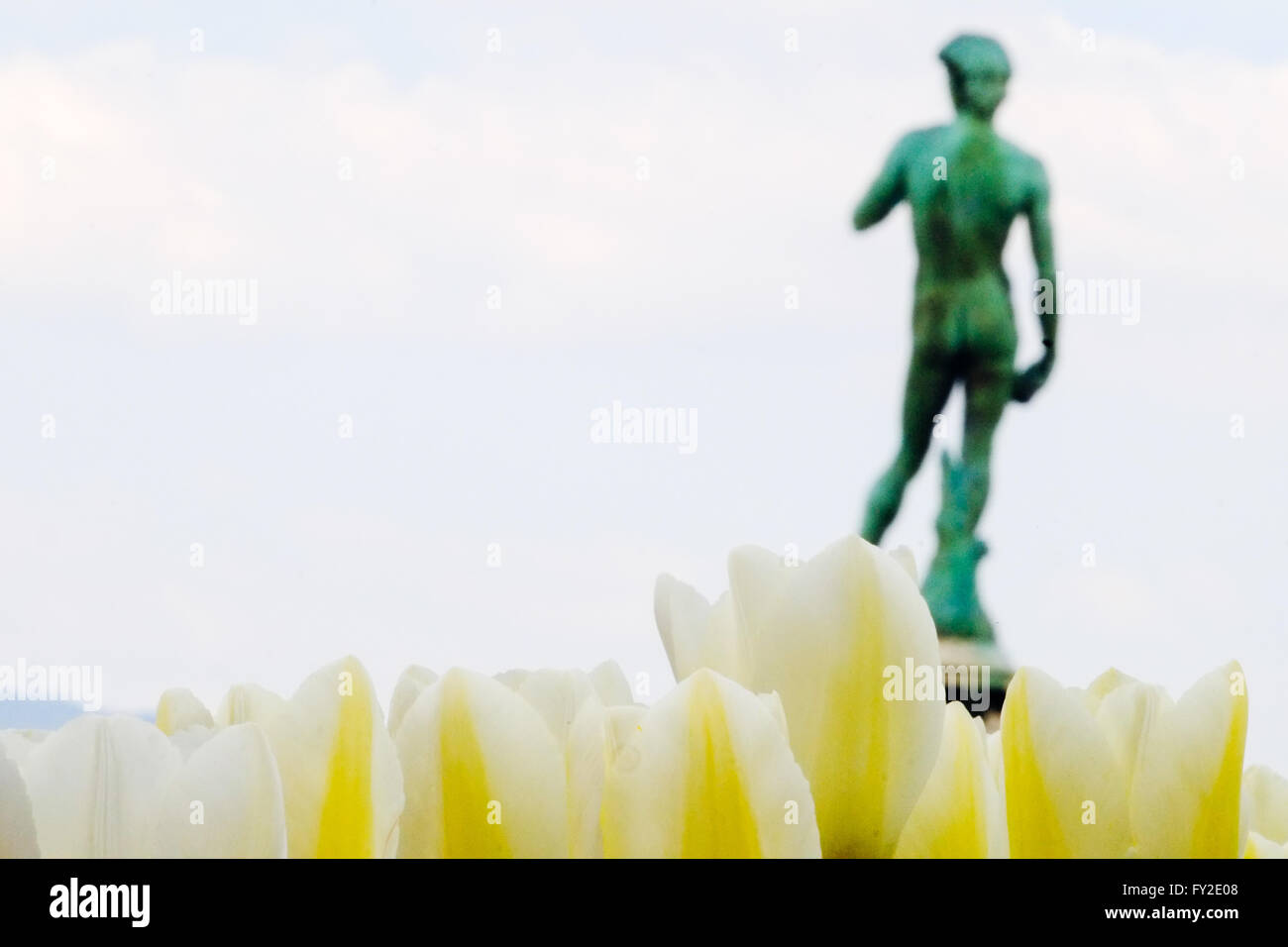 David-Statue von Tulpen im berühmten Piazzale Michelangelo umgeben. Florenz, Italien. Stockfoto
