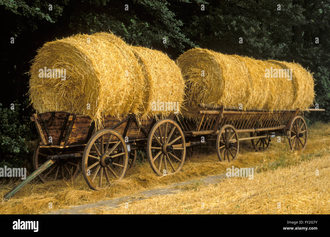 Stroh rollt auf landwirtschaftliche Fahrzeuge Stockfoto