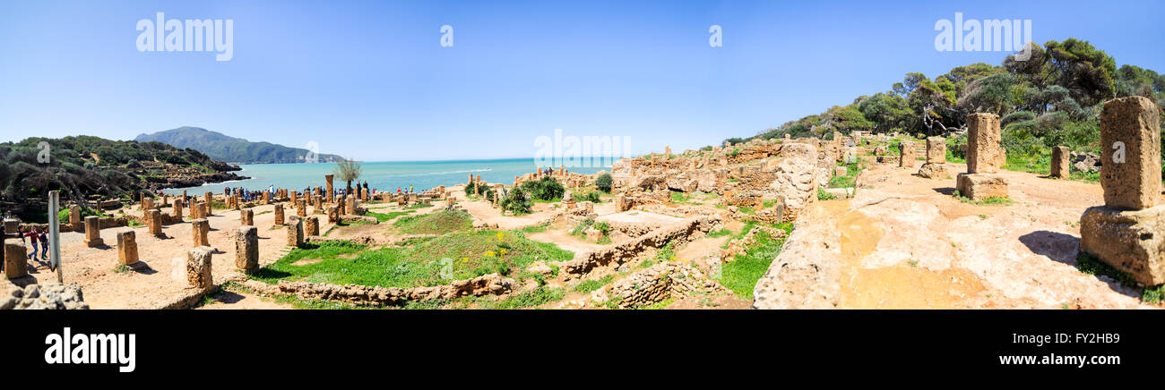 Ruinen von Tipasa(Tipaza). Die antike Stadt war eine Colonia in der römischen Provinz Mauretania Caesariensis lo Stockfoto