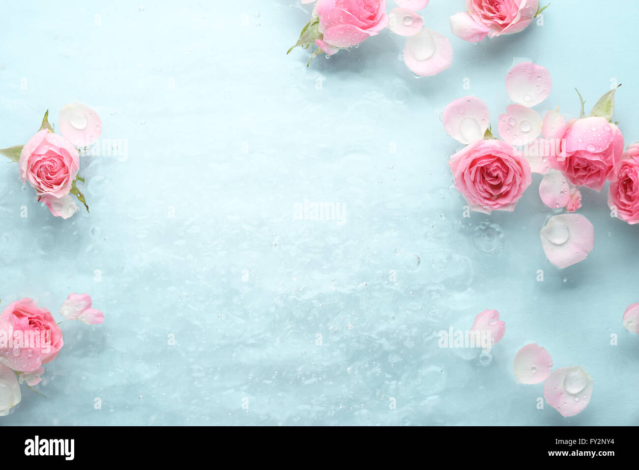 Rose im Wasser, Spa-Hintergrund. Stockfoto