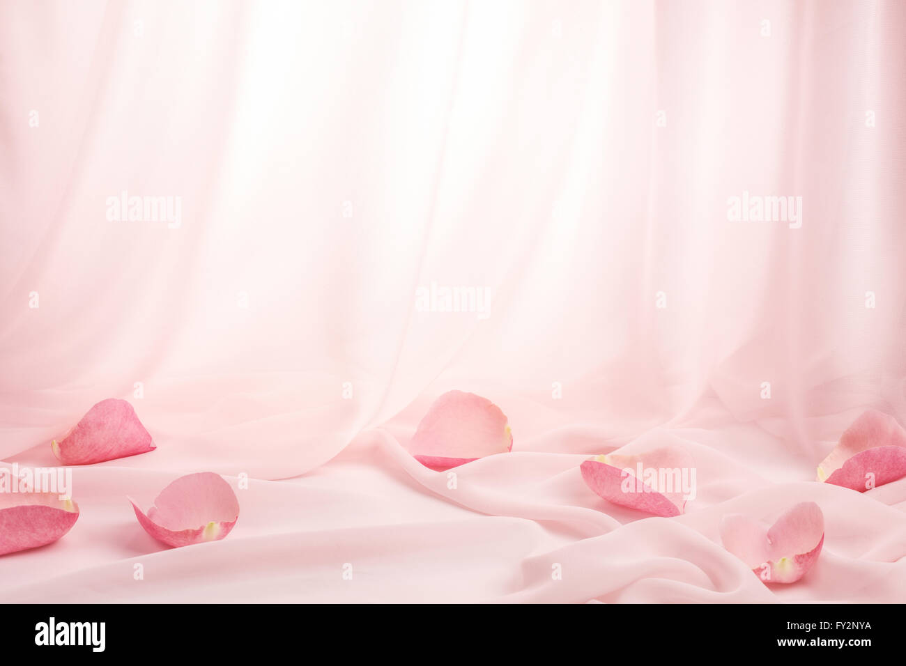 Rosenblüten auf weiche Seide Stockfoto