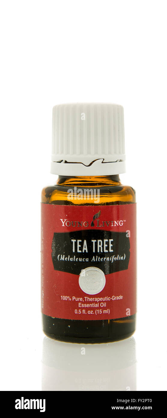 Winneconne, Wisconsin - 10. Februar 2016: Flasche von Young Living ätherische Teebaumöl. Stockfoto