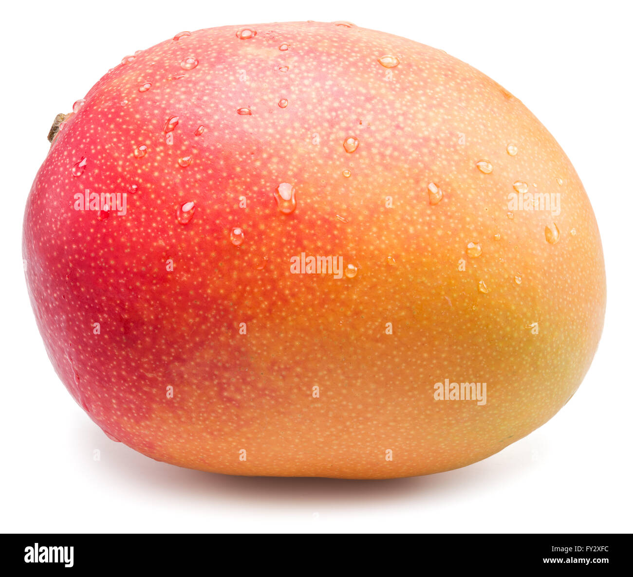 Mango-Frucht mit Wassertropfen. Isoliert auf weißem Hintergrund. Stockfoto