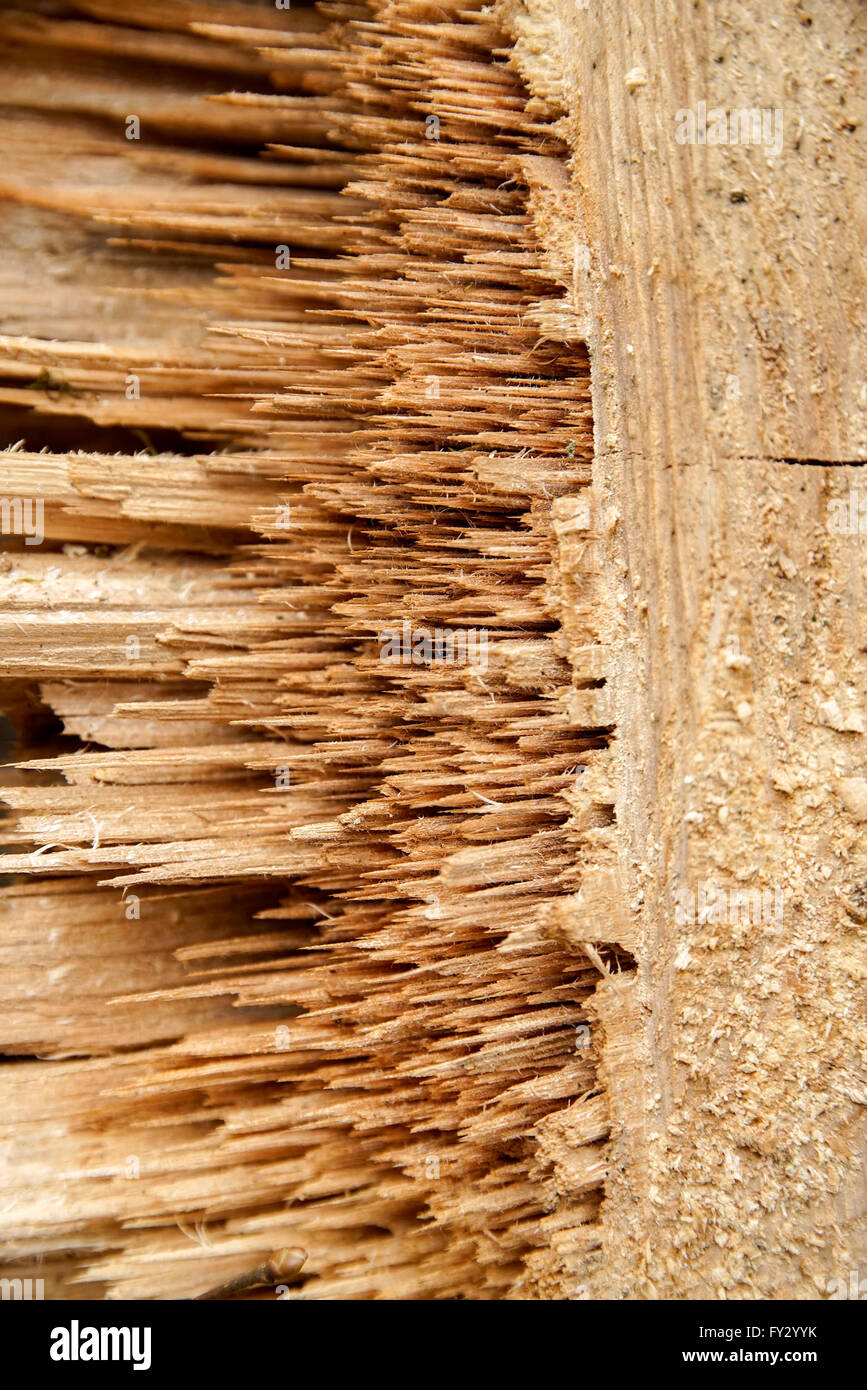 abstrakten Detail zeigt ein Stück gehobelte Holz Stockfoto