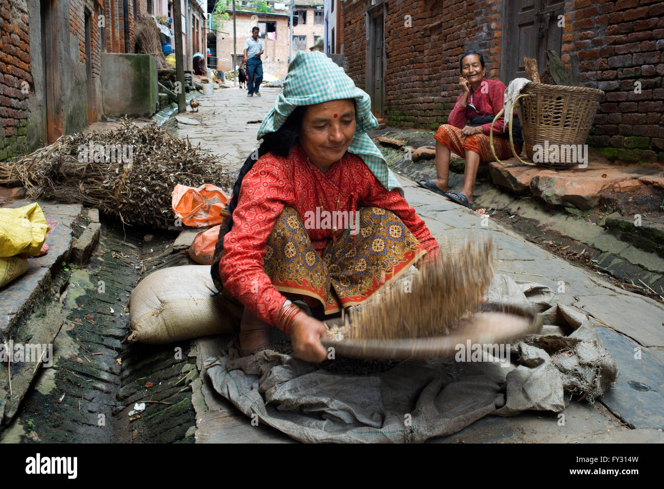 Dreschen von Getreide in den Straßen von Bungamati, Kathmandu-Tal, Nepal Stockfoto