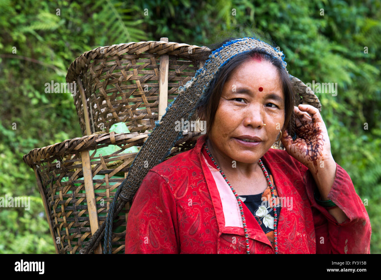 Nepalesische Frau an Arbeit in den Reisfeldern in Bungamati, um Kathmandu-Tal, Nepal. Stockfoto