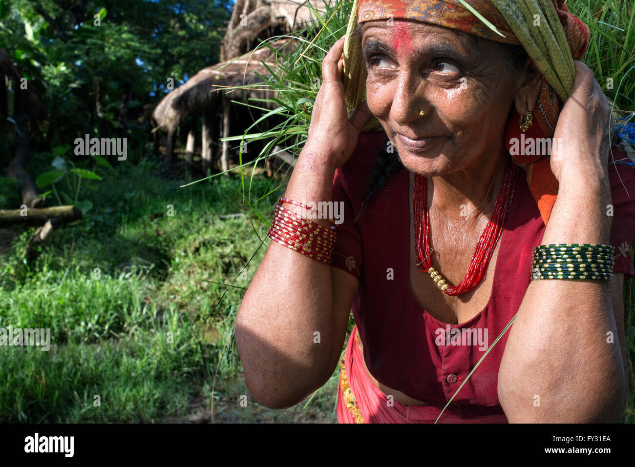 Alte Frau Kommissionierung Wiese in Chitwan Nationalpark, Nepal, Asien. Stockfoto