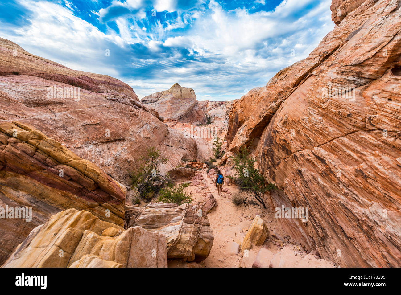 Rot orange Sandstein Felsen, White Dome Trail, Valley of Fire State Park, Mojave-Wüste, Nevada, USA Stockfoto