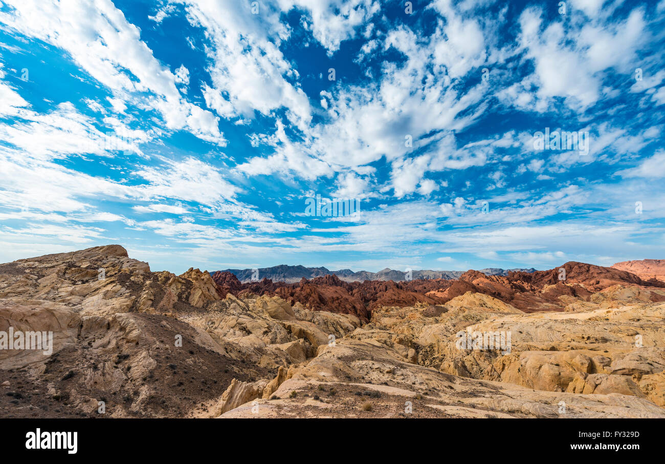 Fire Canyon, Silica Kuppel, rote orange Sandsteinfelsen, Valley of Fire State Park, Mojave-Wüste, Nevada, USA Stockfoto
