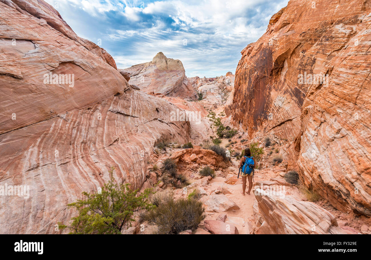 Rot orange Sandsteinfelsen, Wanderweg, White Dome Trail, Valley of Fire State Park, Mojave-Wüste, Nevada, USA Stockfoto
