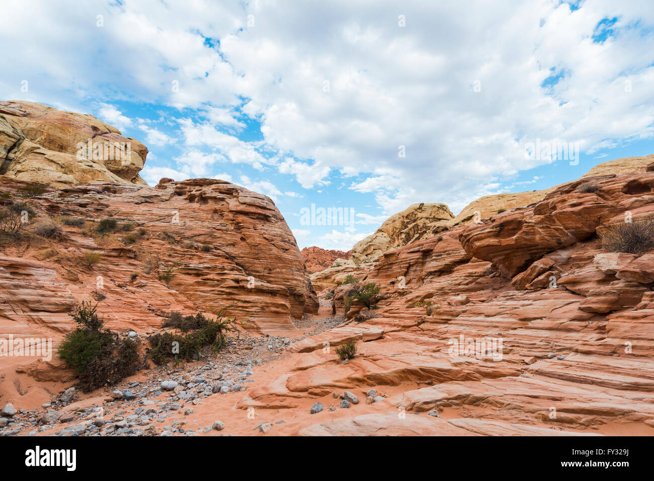 Rot orange Sandstein Felsen, White Dome Trail, Valley of Fire State Park, Mojave-Wüste, Nevada, USA Stockfoto