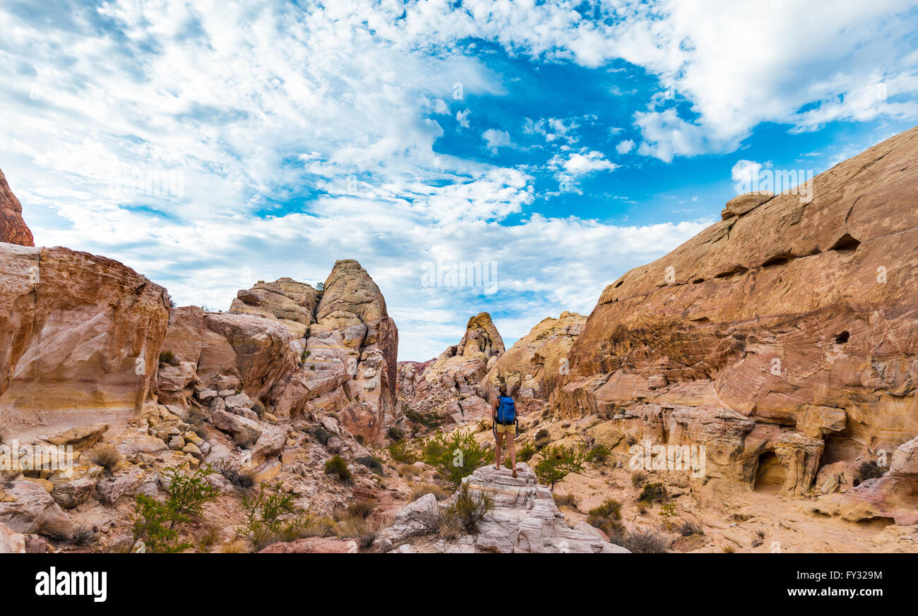 Rot orange Sandsteinfelsen, Touristen auf der White Dome Trail, Valley of Fire State Park, Mojave-Wüste, Nevada, USA Stockfoto