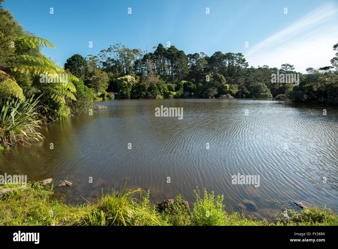 See, umgeben von Buschlandschaft.  Chelsea Park in Auckland, Neuseeland Stockfoto
