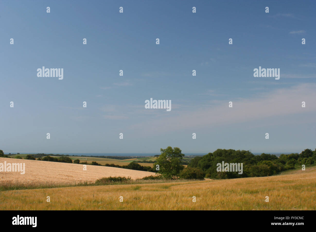 South Downs Stockfoto