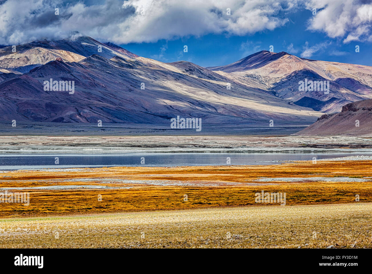 Himalaya-See Tso Kar im Himalaya, Ladakh, Indien Stockfoto