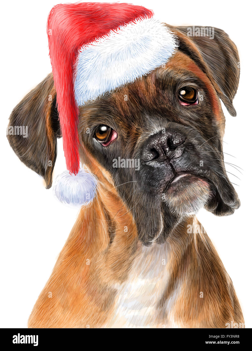 Boxer Hund und Santa Hut Hand zeichnen auf weißem Hintergrund illustration Stockfoto