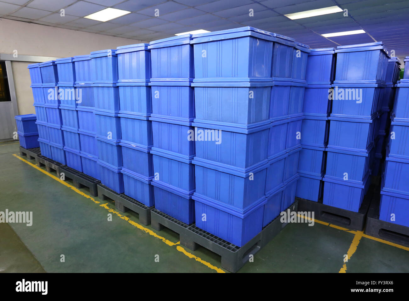 blaue Kunststoff-Box Produkte im Industriebetrieb Zimmer, Container von Fertigwaren keimfrei. Stockfoto