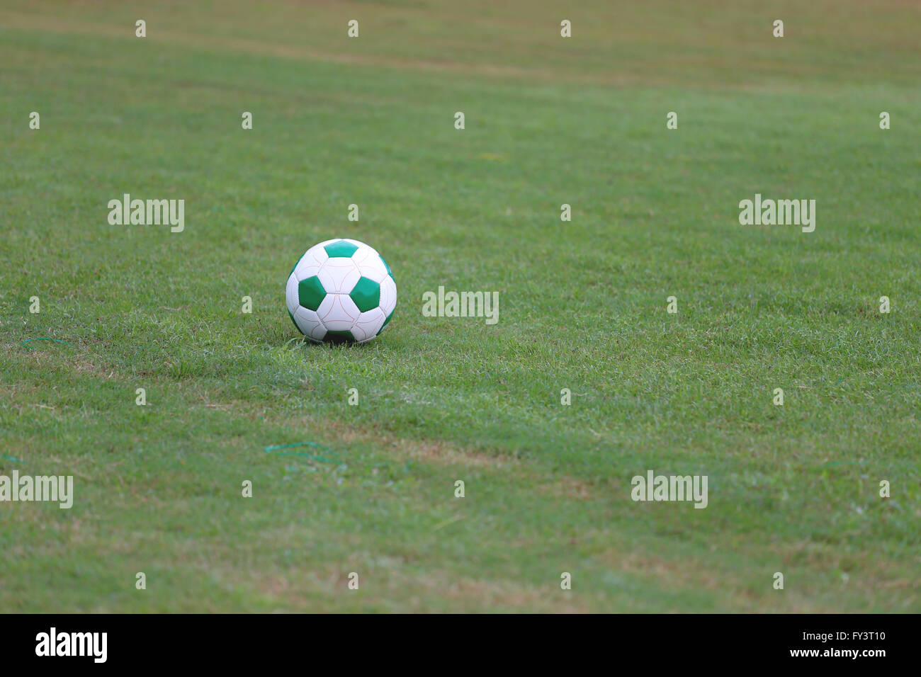 Kugel auf einem grünen Rasen, Ausrüstung Sport einen Fußball mit Füßen um zu spielen. Stockfoto
