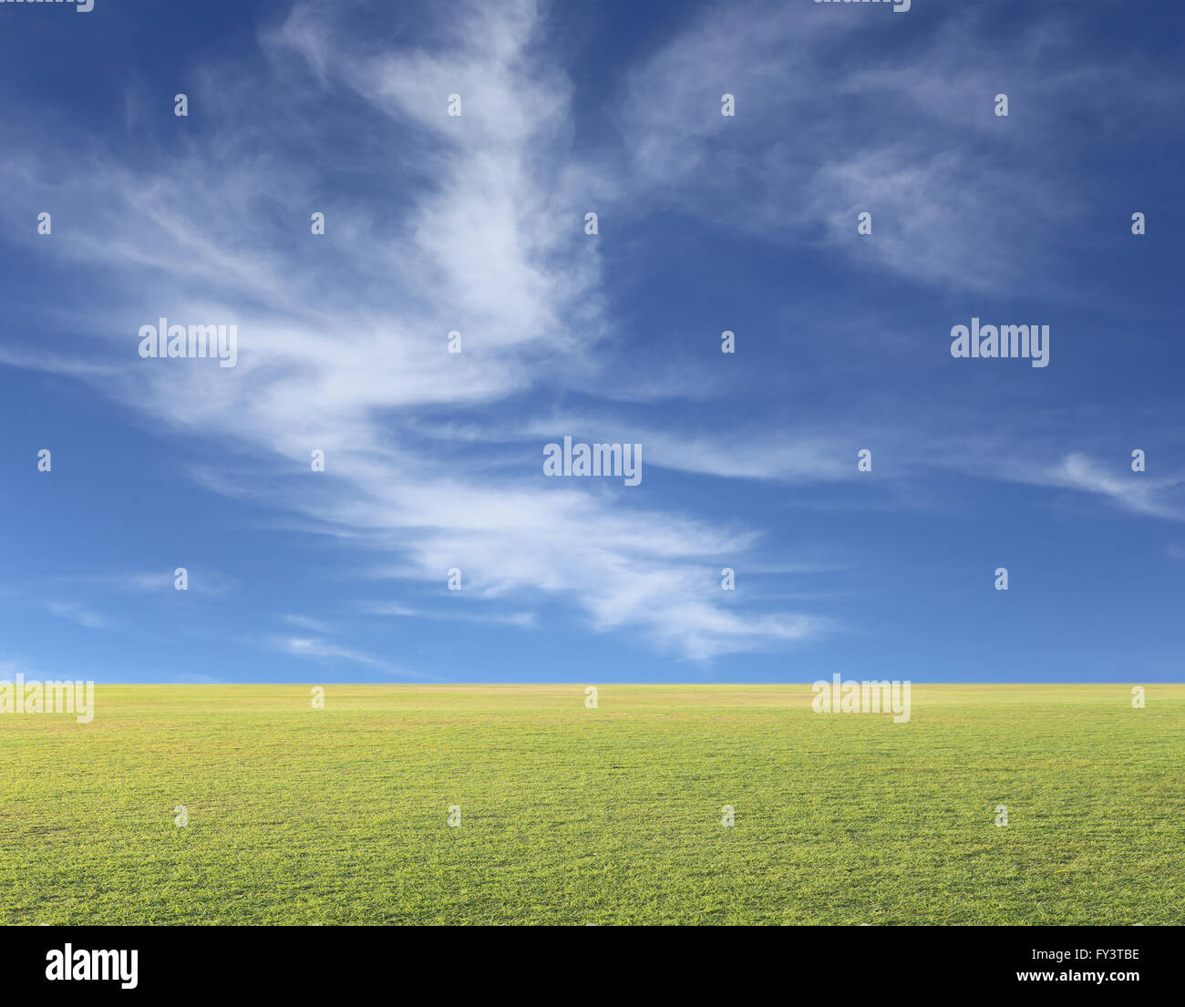 grünen Rasen an einem Tag blauer Himmel für Natur Hintergrund. Stockfoto