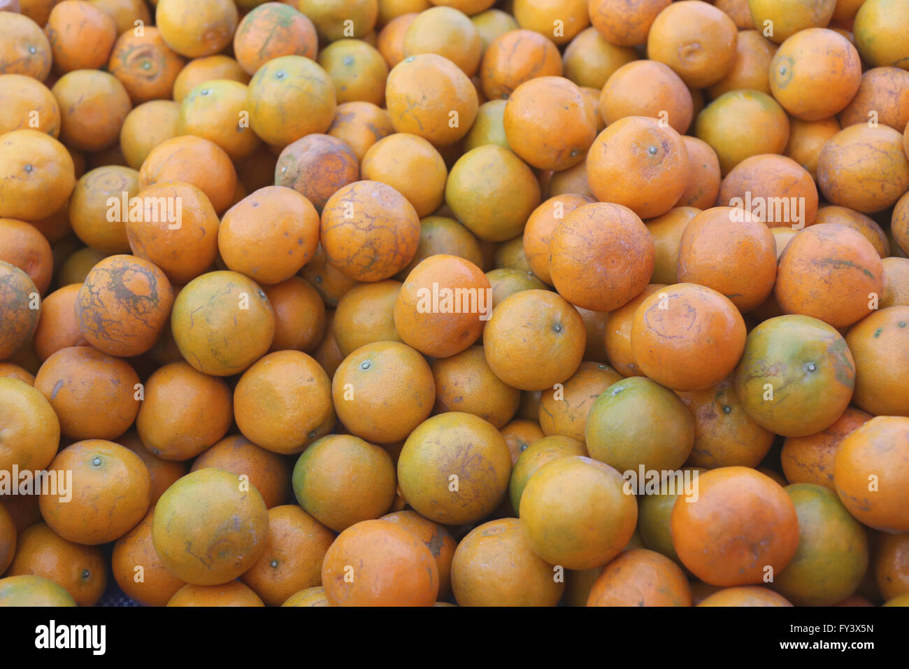 Haufen von frischem orange Frucht auf dem Markt. Stockfoto