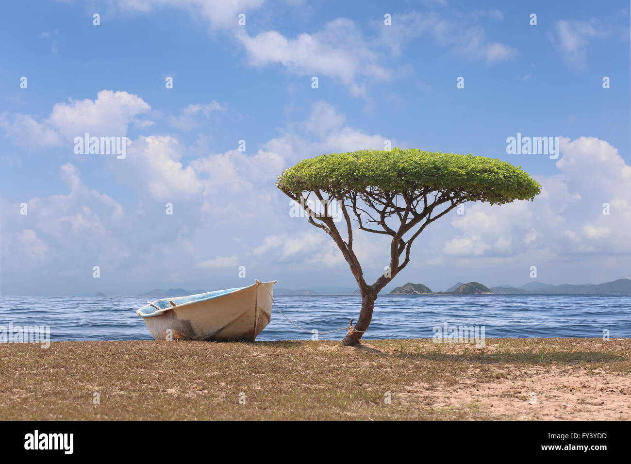 Baum geformt Pilz nahe dem Meer und ein Boot in hell Wetter Tag, tropischen Strand in Thailand. Stockfoto