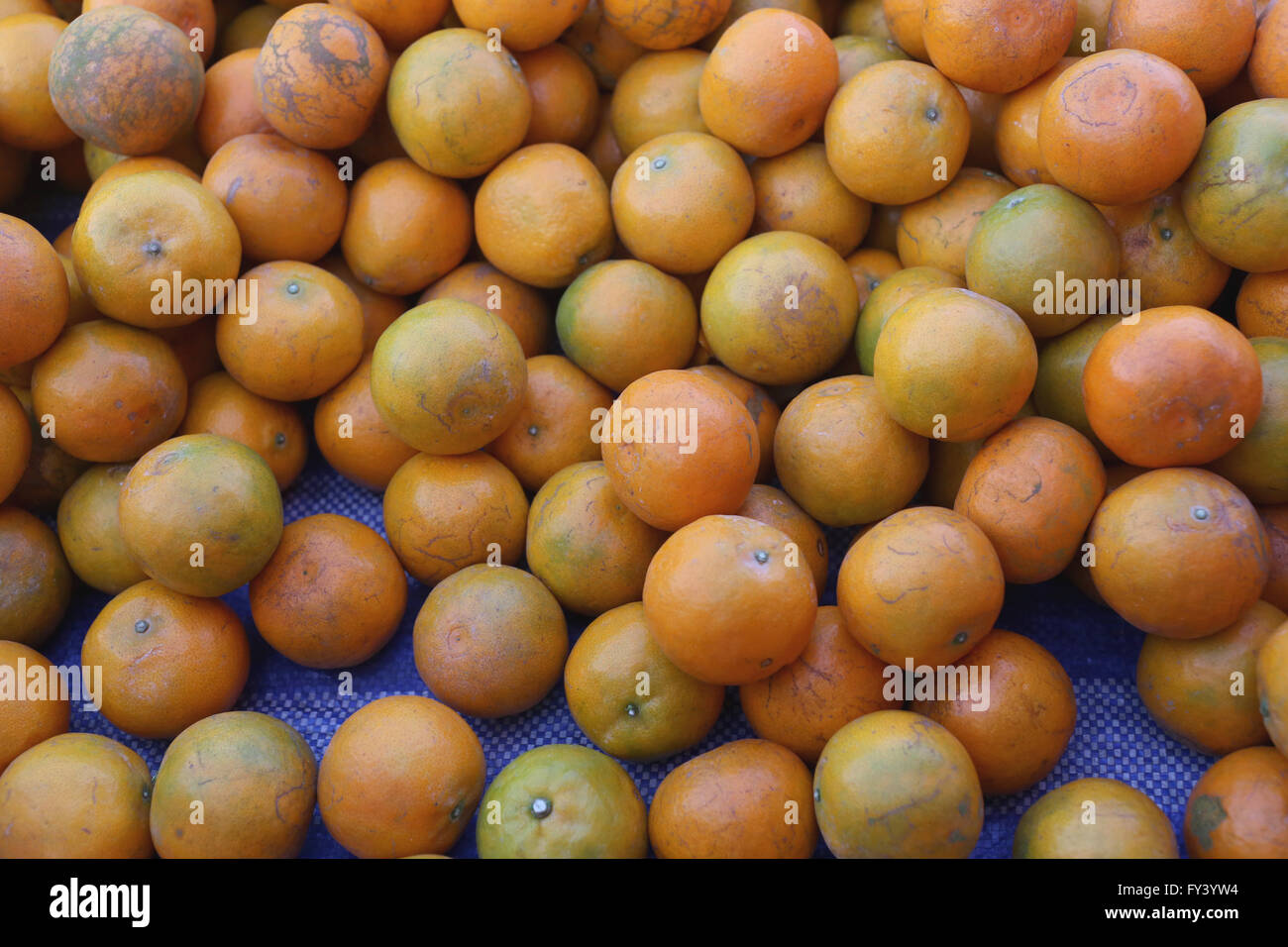 Haufen von frischem orange Frucht auf dem Markt. Stockfoto