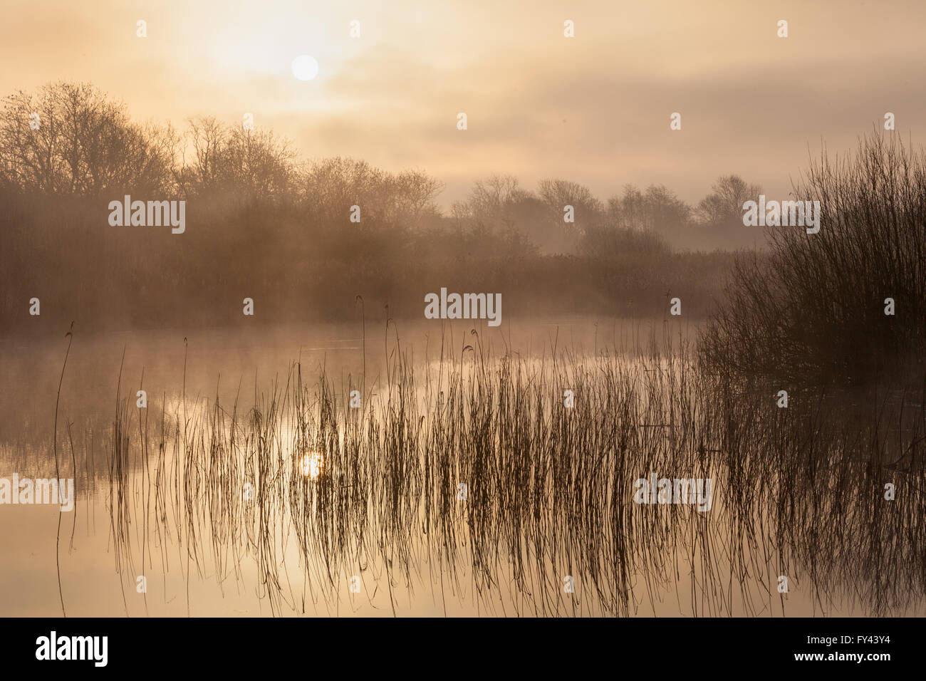Barton-upon-Humber, North Lincolnshire, UK. 21. April 2016. Nebel steigt aus einem Natur-Reservat-Teich an einem nebligen Frühlingsmorgen. Bildnachweis: LEE BEEL/Alamy Live-Nachrichten Stockfoto