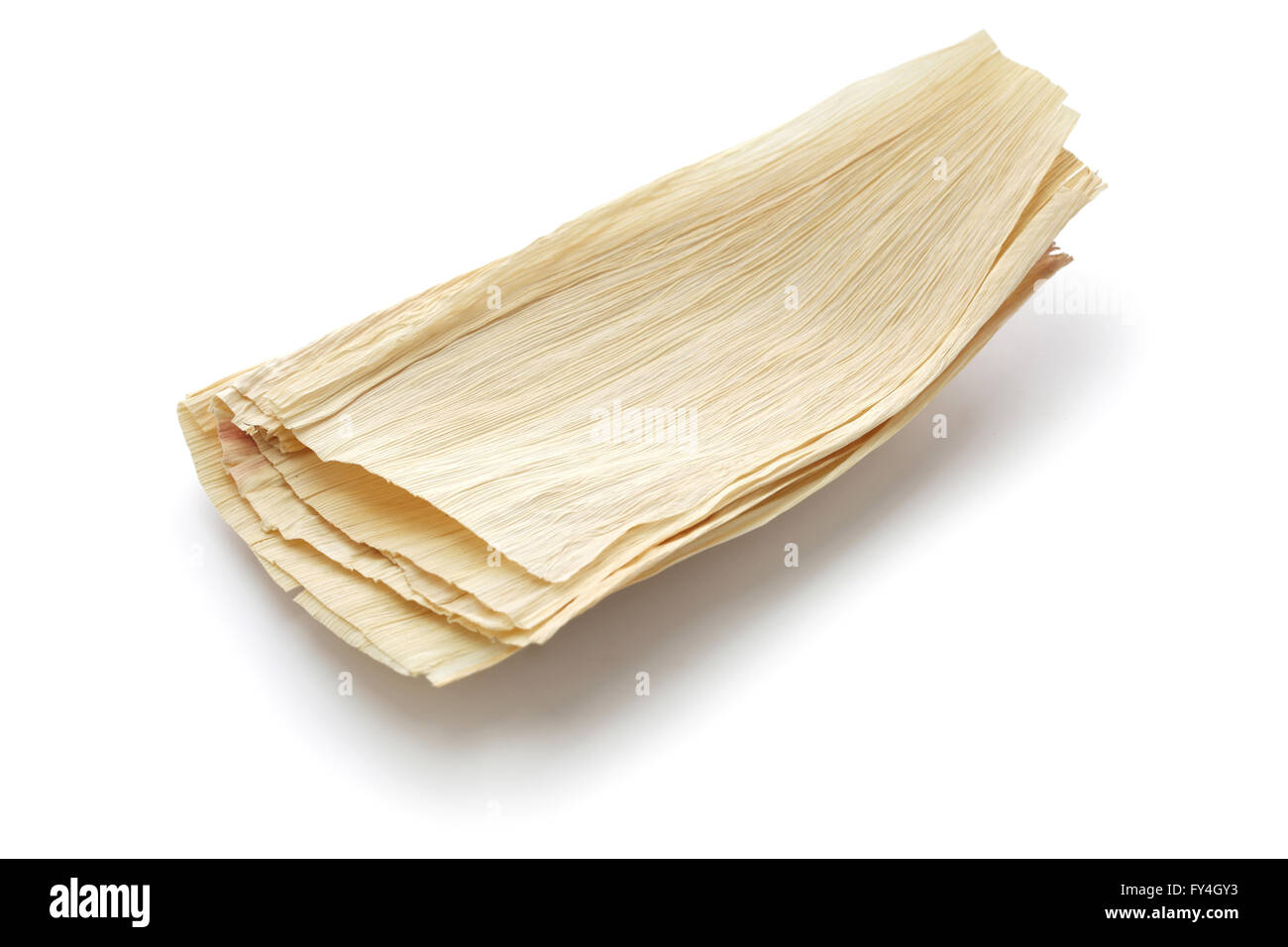 natürliche Maiskolben für die Herstellung von tamales Stockfoto