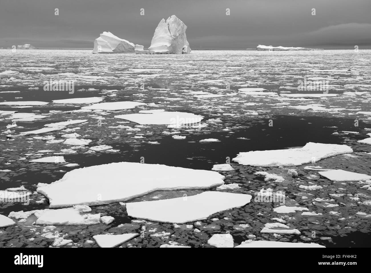 Eisberge und Packeis südlichen Polarkreis (Schwarzweiß) antarktische Halbinsel Stockfoto