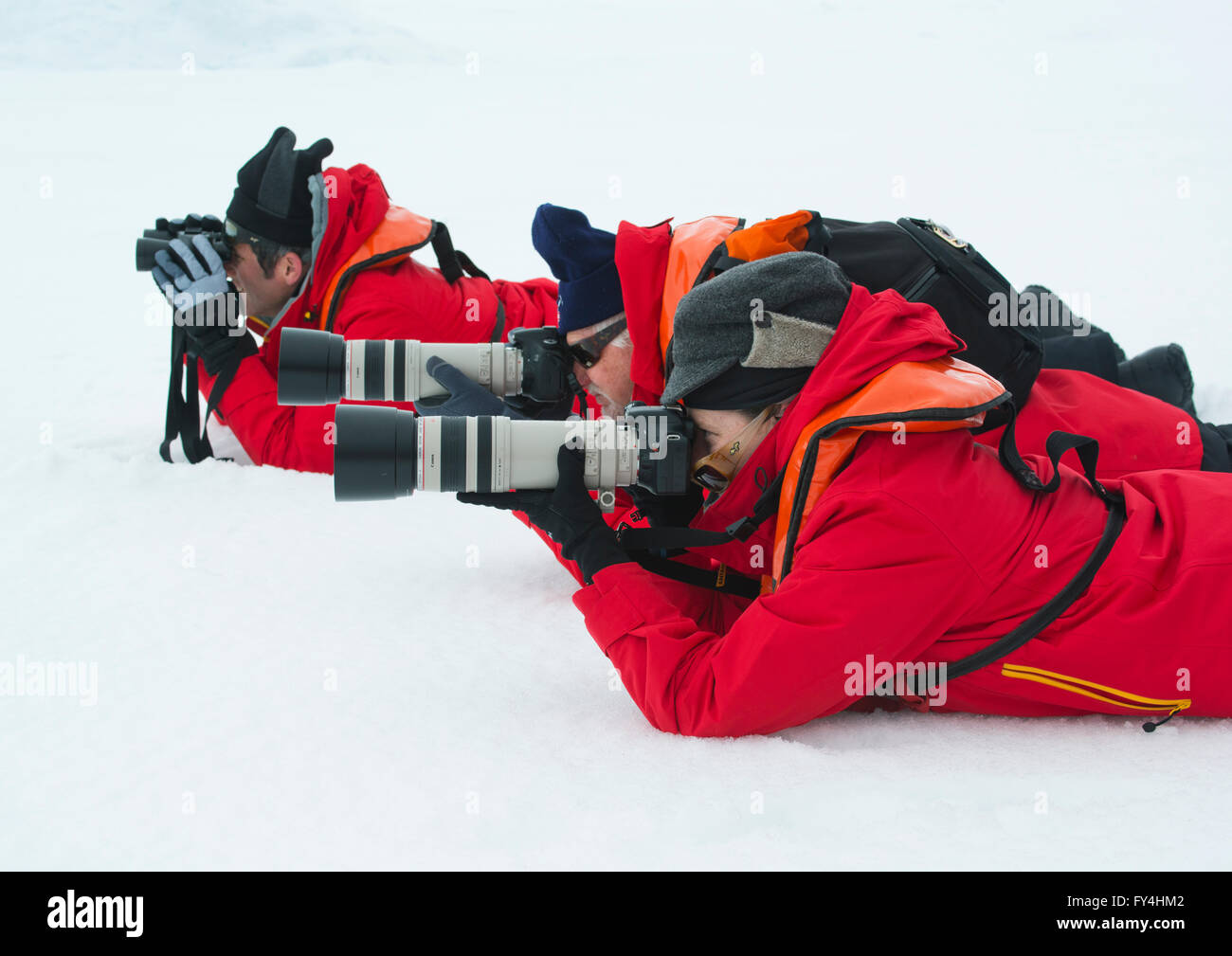 Pinguine, Antarktis, Ökotourismus im Schnee zu fotografieren Stockfoto