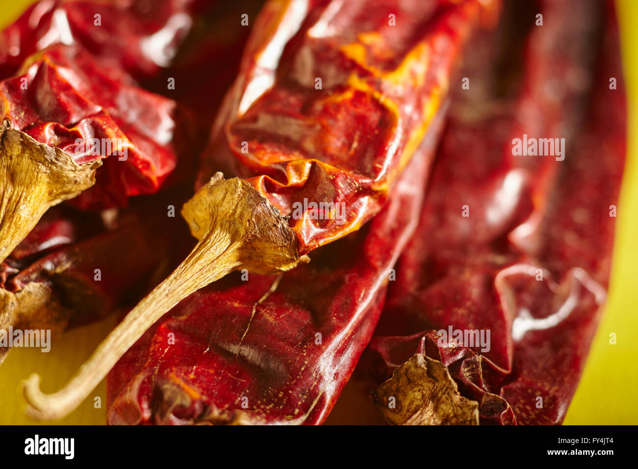 Getrocknete rote New Mexico Chile Hülsen. Auch genannt Anaheim Chilies. Stockfoto