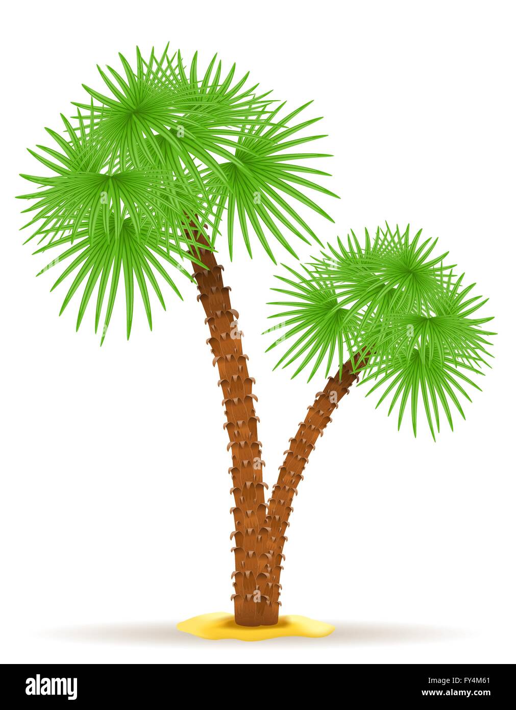 Palm-Baum-Vektor-Illustration isoliert auf weißem Hintergrund Stock Vektor