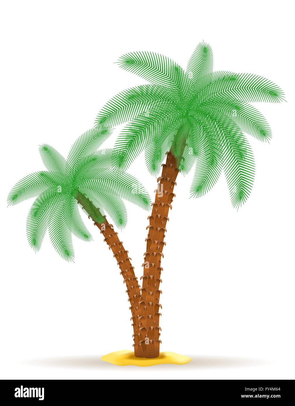 Palm-Baum-Vektor-Illustration isoliert auf weißem Hintergrund Stock Vektor