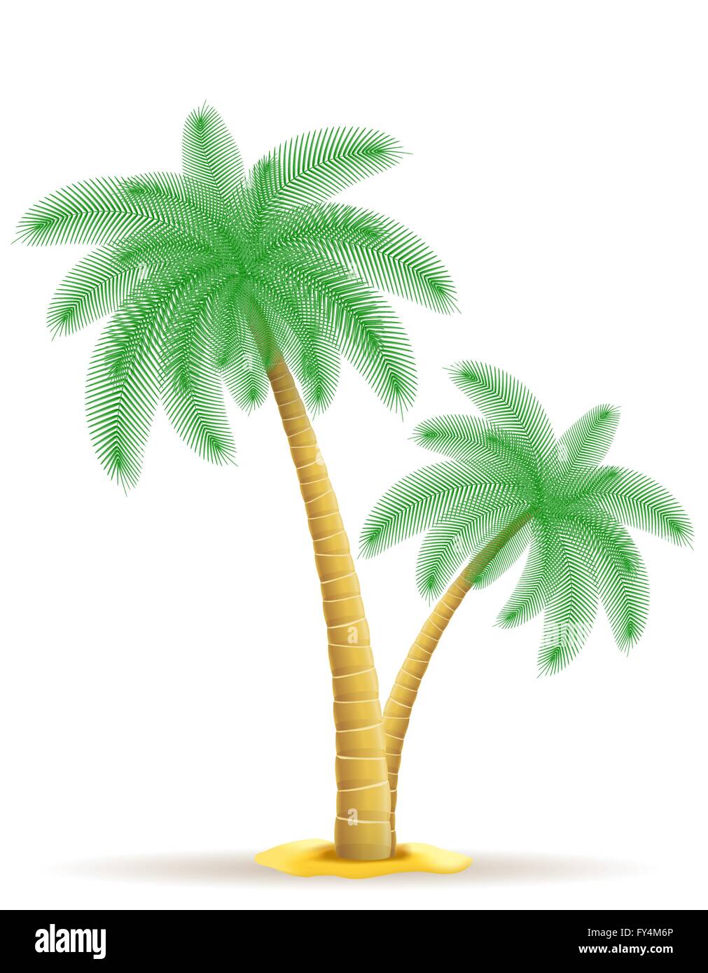 Palm-Baum-Vektor-Illustration isoliert auf weißem Hintergrund Stock Vektor