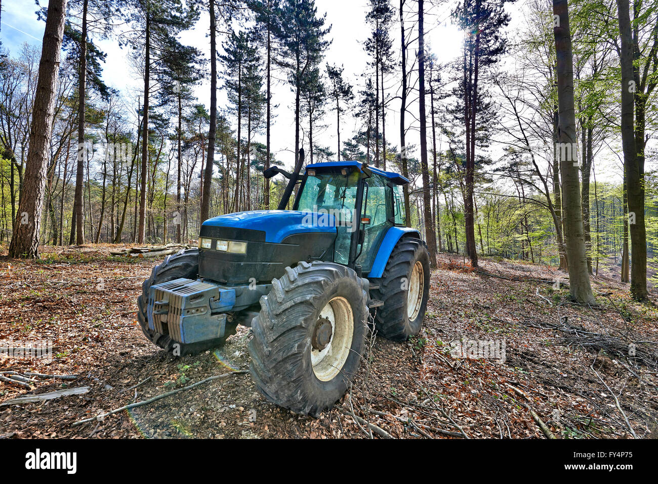 Der Holzfäller-Traktor ruht in den belgischen Wald Stockfoto