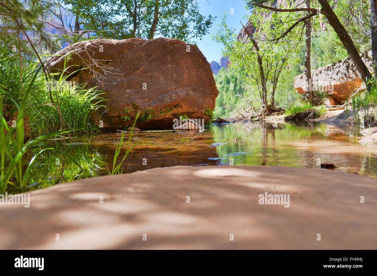 NaturalMiddle Emerald Pool im Zion National Park, Utah, USA. Bild wurde mit der HDR erstellt. Stockfoto