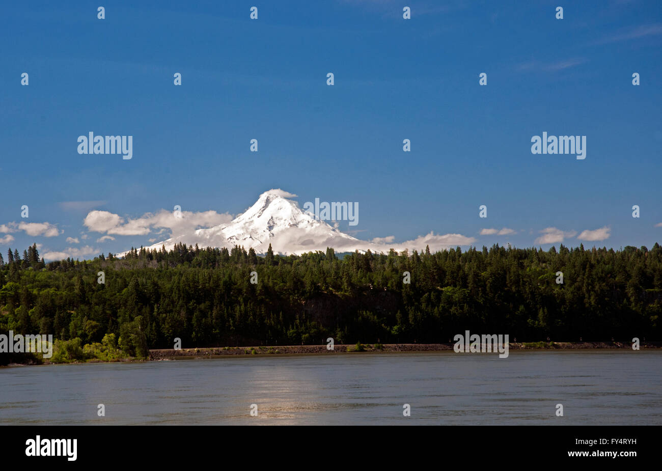 Mount Hood entnommen der Washingtoner Seite des Columbia River im Vordergrund angezeigt. Fast einem wolkenlosen Tag mit ein paar Wolken Stockfoto