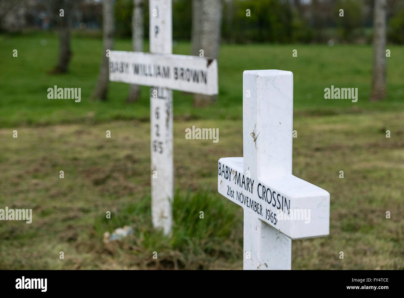 Weiße Kreuze markieren die Gräber von zwei Babys. Stockfoto