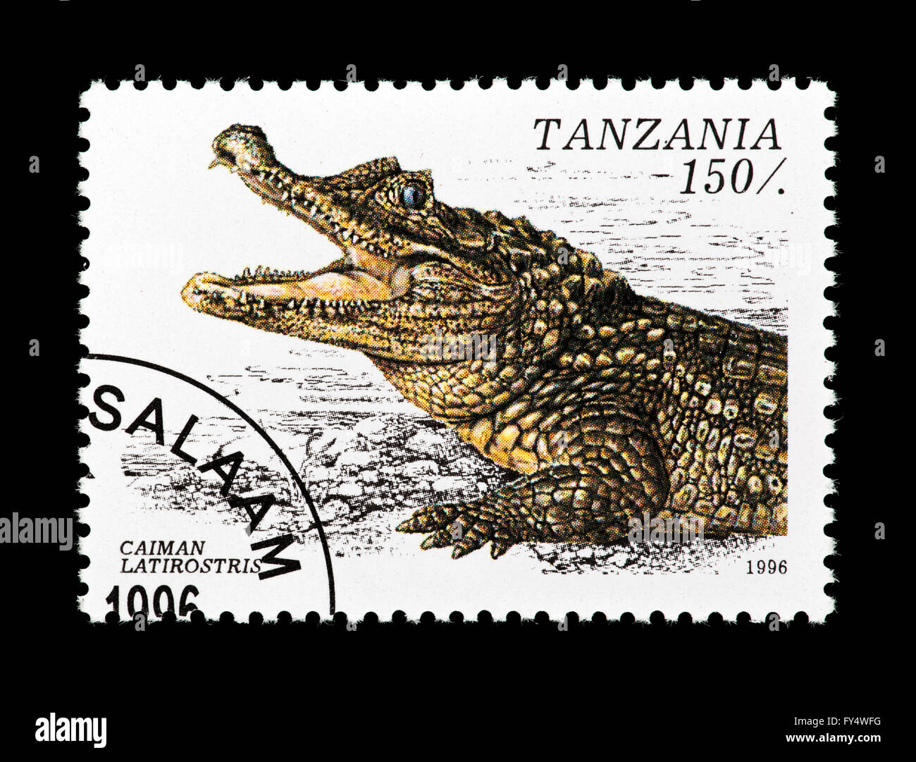 Briefmarke aus Tansania Darstellung ein breit-schrie Kaiman (Caiman Latirostris) Stockfoto