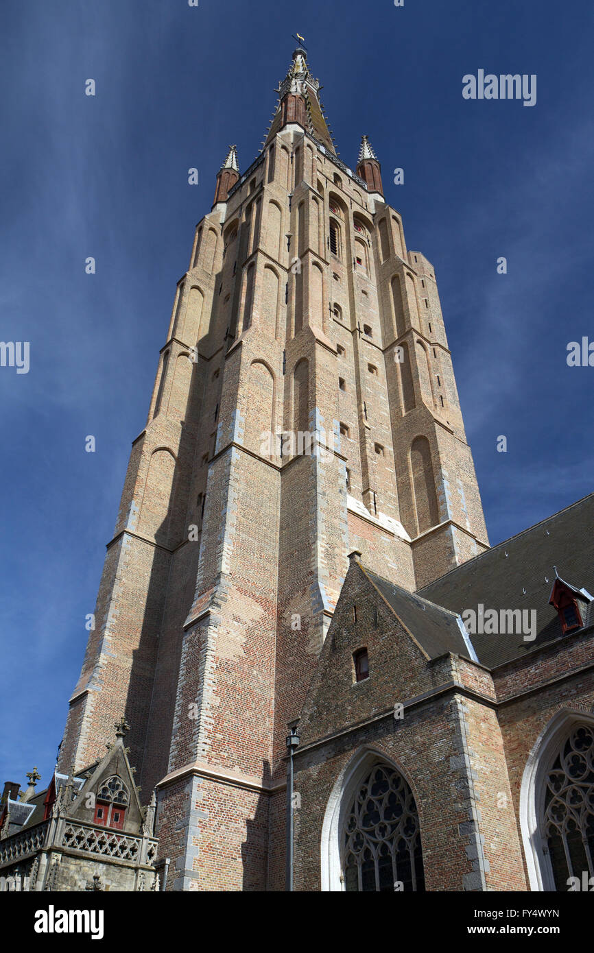 Renovierten Turm von der Heiligen Erlöser-Kathedrale (Sint-Salvatorskathedraal) in Brügge (Belgien) Stockfoto